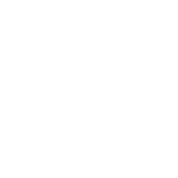 Asesoramiento Técnico